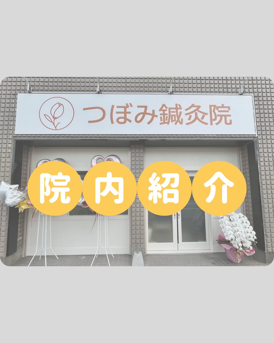 画像259