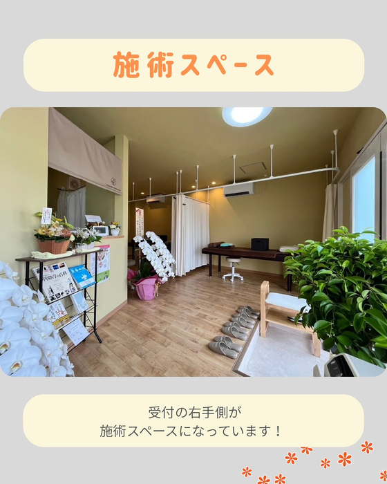 画像264