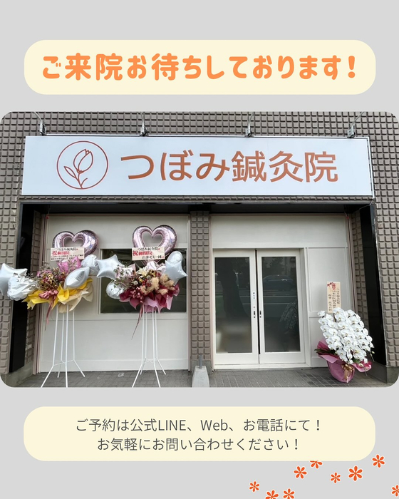 画像268