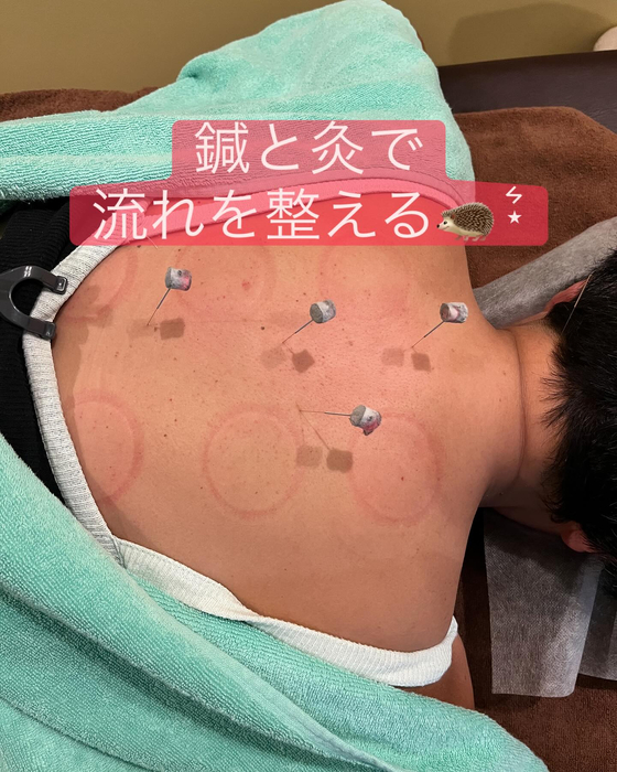 画像355