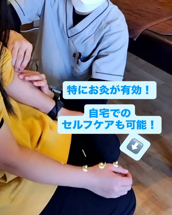 画像394