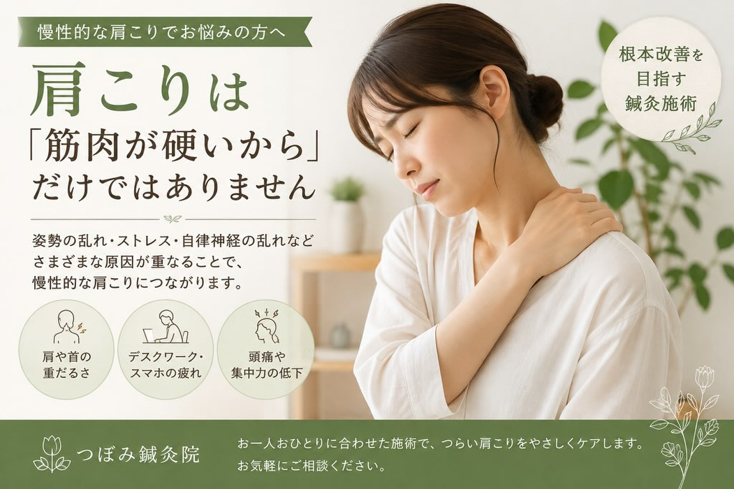 画像475