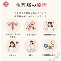 画像499